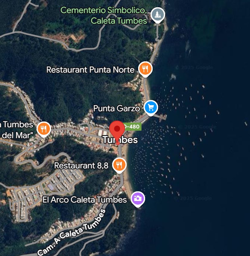 ⚠️[AHORA] Nuestra unidad F-1 concurre a llamado por #simulacro de #incendioforestal en caleta Tumbes.