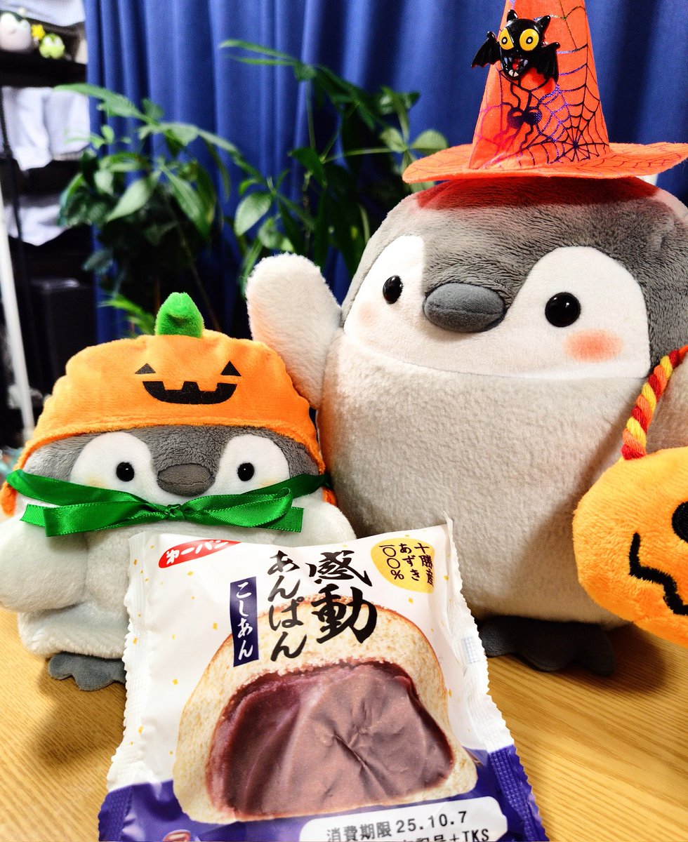 WxAxcs's tweet image. とにかく〜あんこ〜でしゅ🫘🐧
くったり〜なんか違くな〜い❓️🐧
（正：Trick or Treat）
