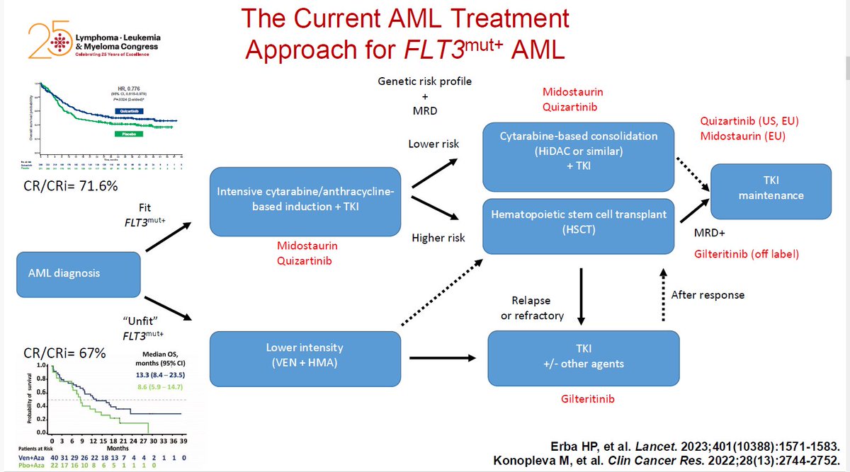 AhmedKo45911157's tweet photo. 🔬 #AML update
💥 For FLT3⁺ AML, targeted therapy is key!
👉 Fit: 7+3 + Midostaurin/Quizartinib → 🧬 HSCT → 🔁 TKI maintenance
👉 Unfit: Venetoclax + HMA
🔁 Relapse: Gilteritinib is the go-to 💊
📈 CR/CRi ~70%
#Leukemia #FLT3 #Hematology #ASH25 https://t.co/OWiRVnd9V9
