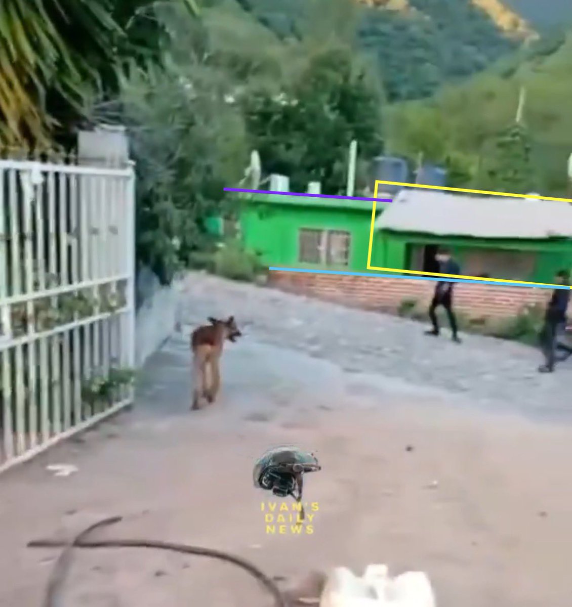 natsecboogie's tweet image. Geolocation of GDG-Los Calabazas sicarios in the town of Arroyo Seco, Sinaloa. The video shows them painting over FEDI graffiti & replacing them w/ new GDG, CJNG & FEM tags.
@GeoConfirmed
Work w/ @VaqueroJoe y @el6rin6o6aucho
(25.7274747, -107.1676283)
Source: @aic_07