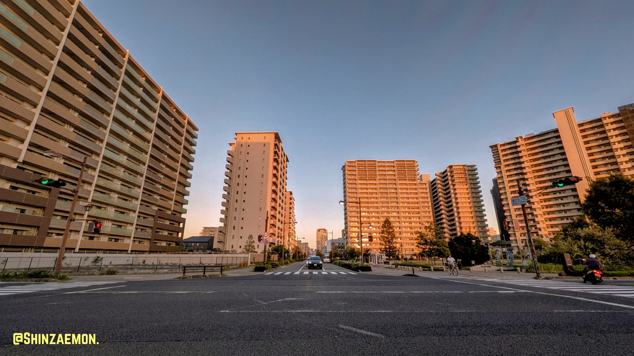 ヒカリsar２枚など　最終値下げ！背面埃ついてたので綺麗に撮り直してます！ Xenoblade Chronicles 2 Carbon Mythra Attack New Costume