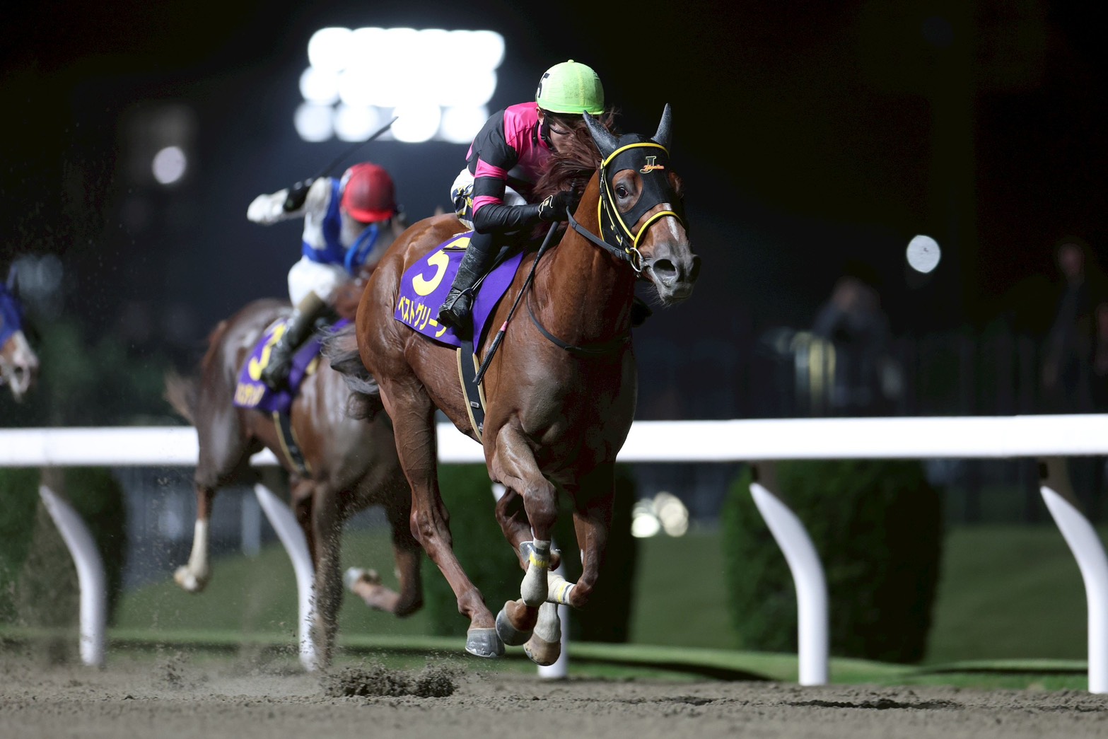 競馬 THE LINK 絶対連動 発見！永遠に続くJRA馬番リンク 船橋ケイバ on X: 