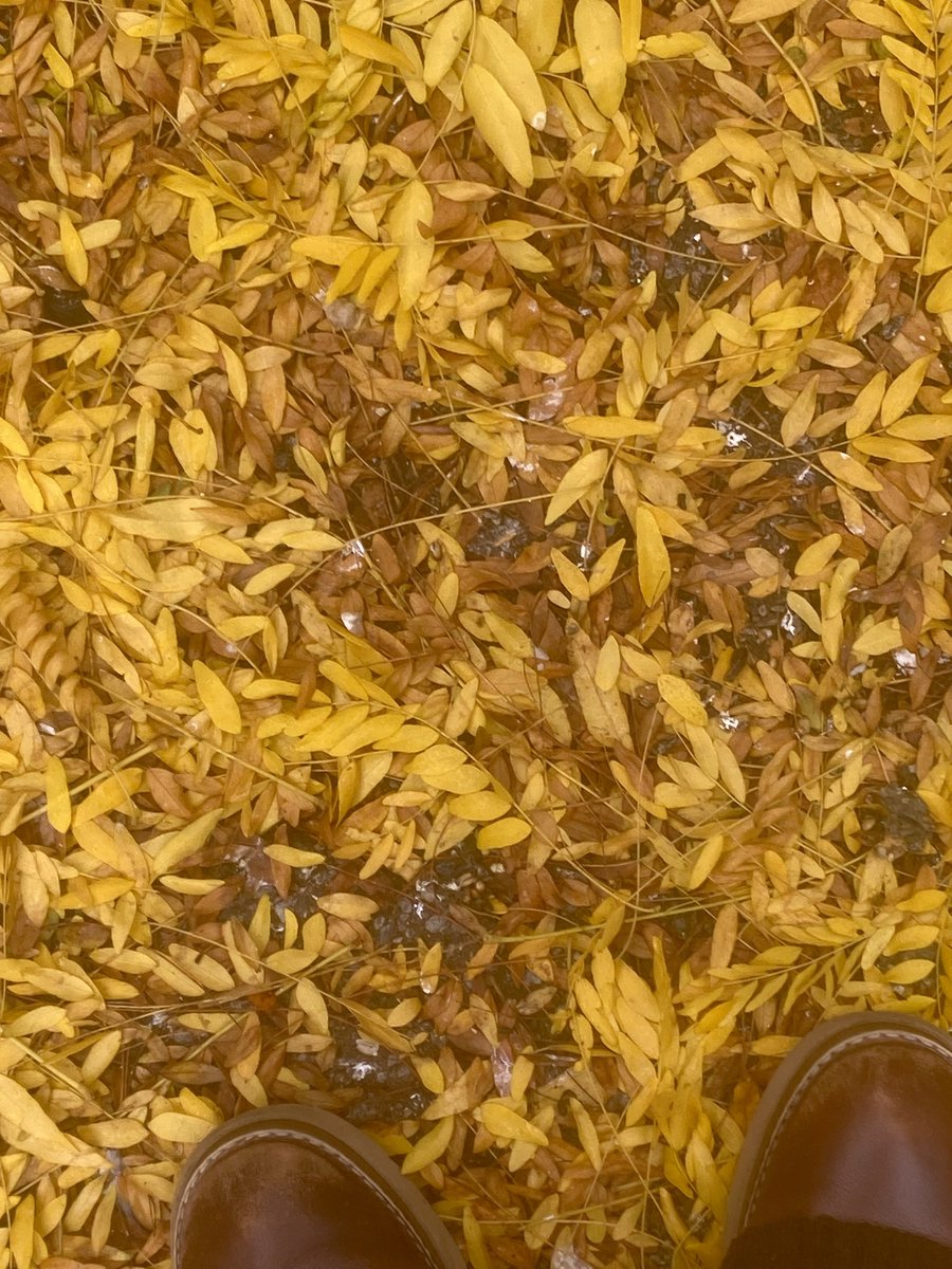 Le Jardin/ de Jordaan ❌❌❌