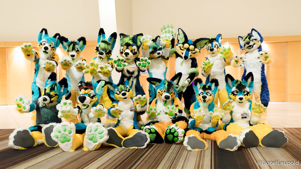 NorwegianFennec's tweet image. I love this.