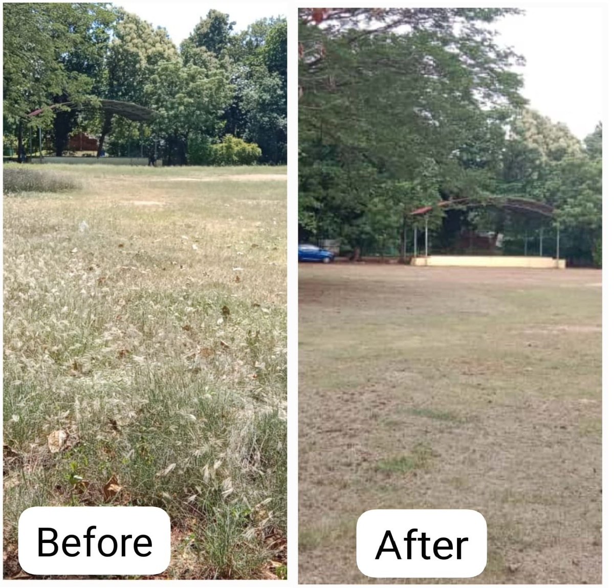 The playground at the Income Tax staff quarters in Madurai was successfully revitalized under the Swachhata Special Campaign 5.0. Following a clean-up that removed weeds and garbage, the space is now cleaner, more hygienic, and actively utilized by officials for fitness and
