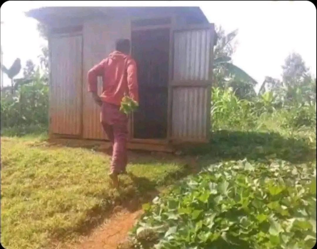 Les enfants des riches vont croire que je suis en train de récolter la salade.😂