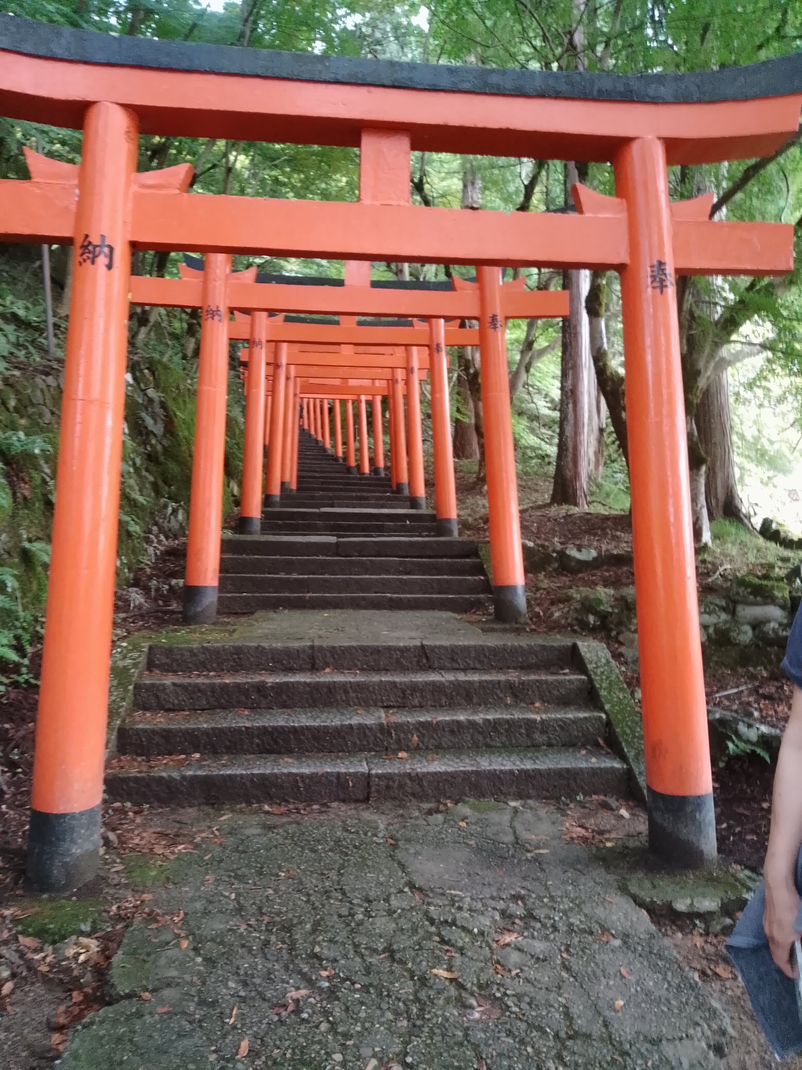 僕きぃㄘゃԽ＊‐ポンコツ店主 (@888ysn) / X