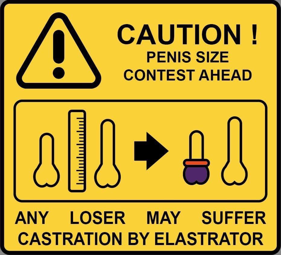 ensign_vorik's tweet photo. Anyone else played this dangerous game? #elastrator #banding #cockcompare #castration #sizematters #betyourballs https://t.co/6v7yJzgdif
