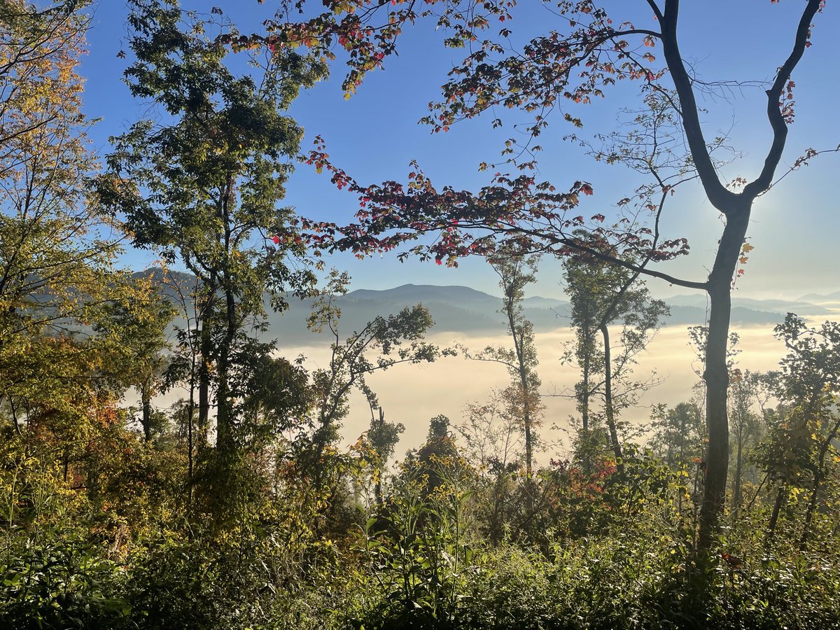 never kill yourself i'm serious