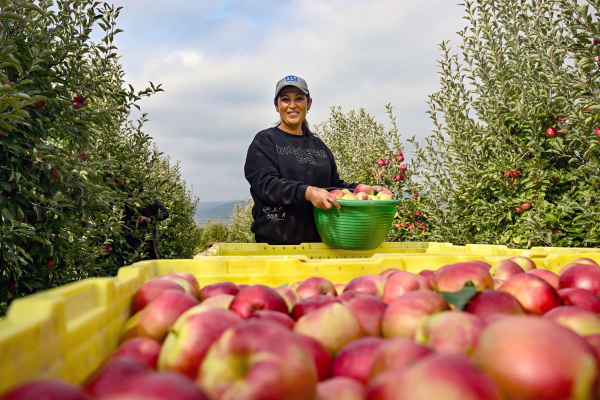 ArmenGrigoryan8's tweet photo. On #internationaldayofruralwomen: meet Karolina, a farmer from Prespa &amp; a force for change in rural communities.
W/ @AmbassadorEU funded #euforprespa Programme, 88 farmers are supported to increase production, 56% are women protecting nature &amp; challenging gender roles. https://t.co/rTHvBK827R