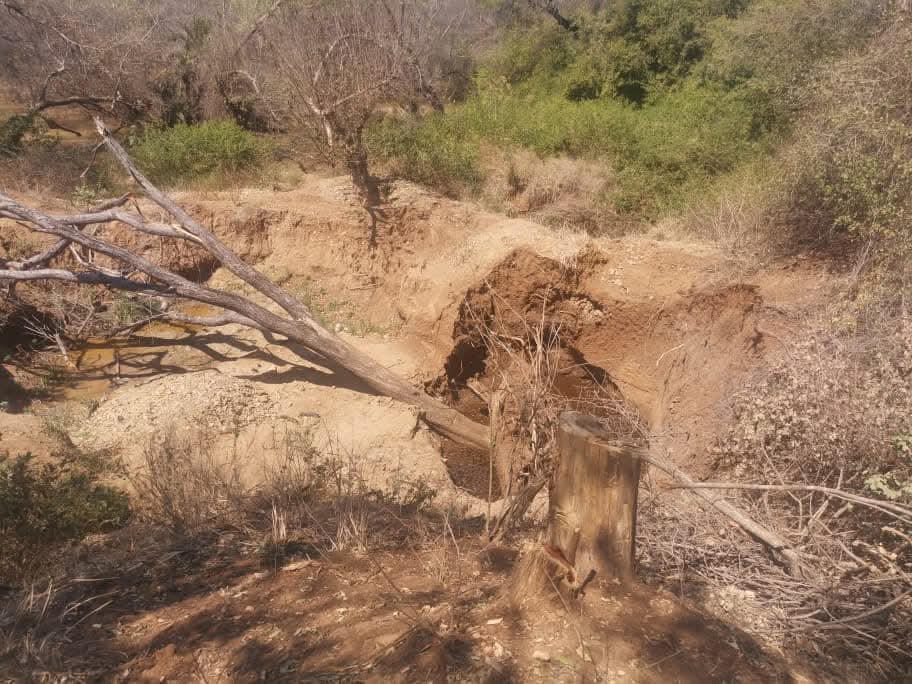 CCJP-Mutare tweet media