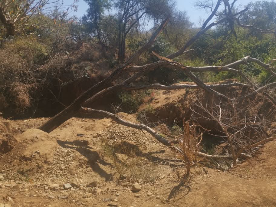 CCJP-Mutare tweet media