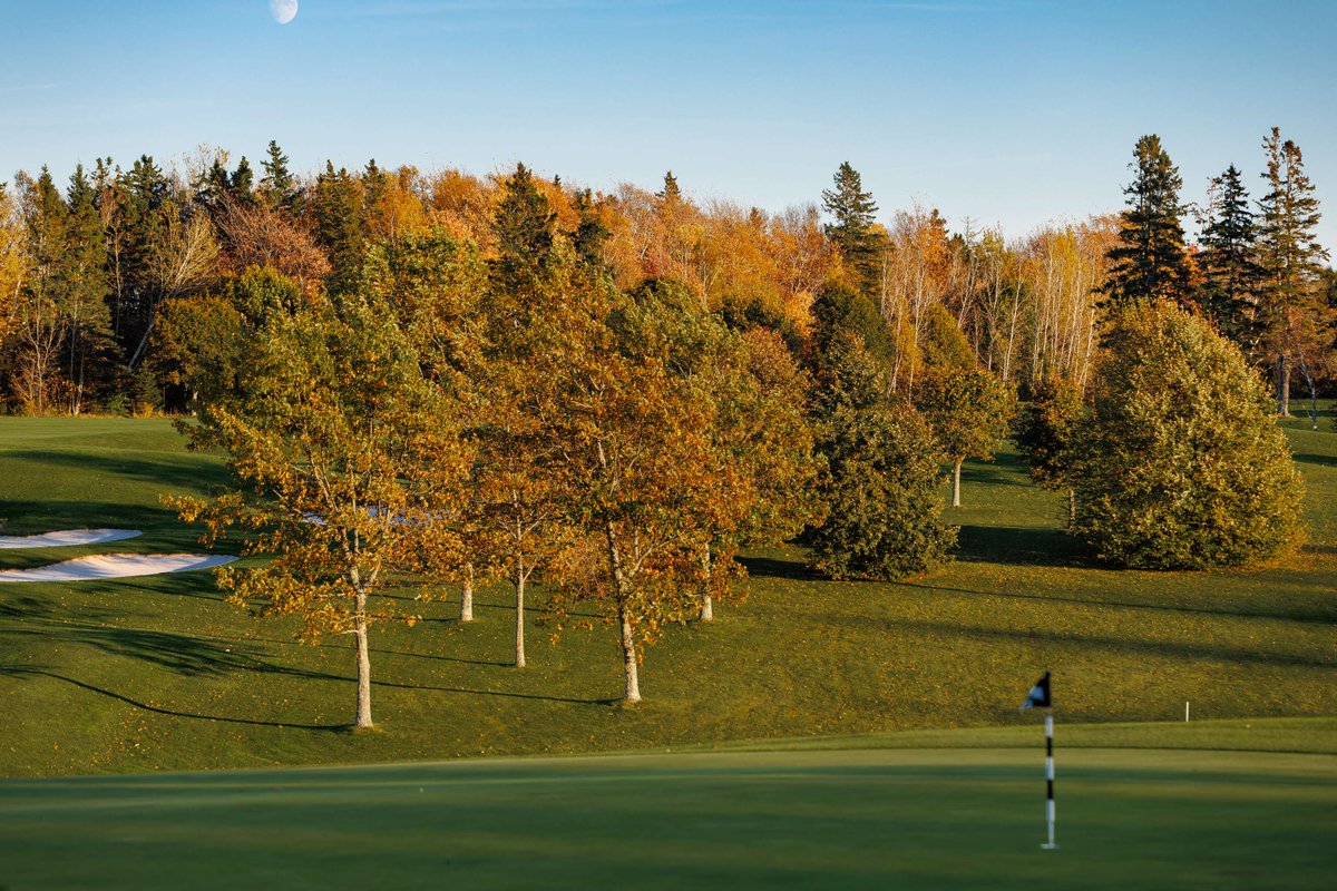 Putting driving you crazy? Driver misbehaving?
Yeah, Mackenzie and Tyson can help with that. 
Book a lesson👇
bit.ly/3HRrPcH