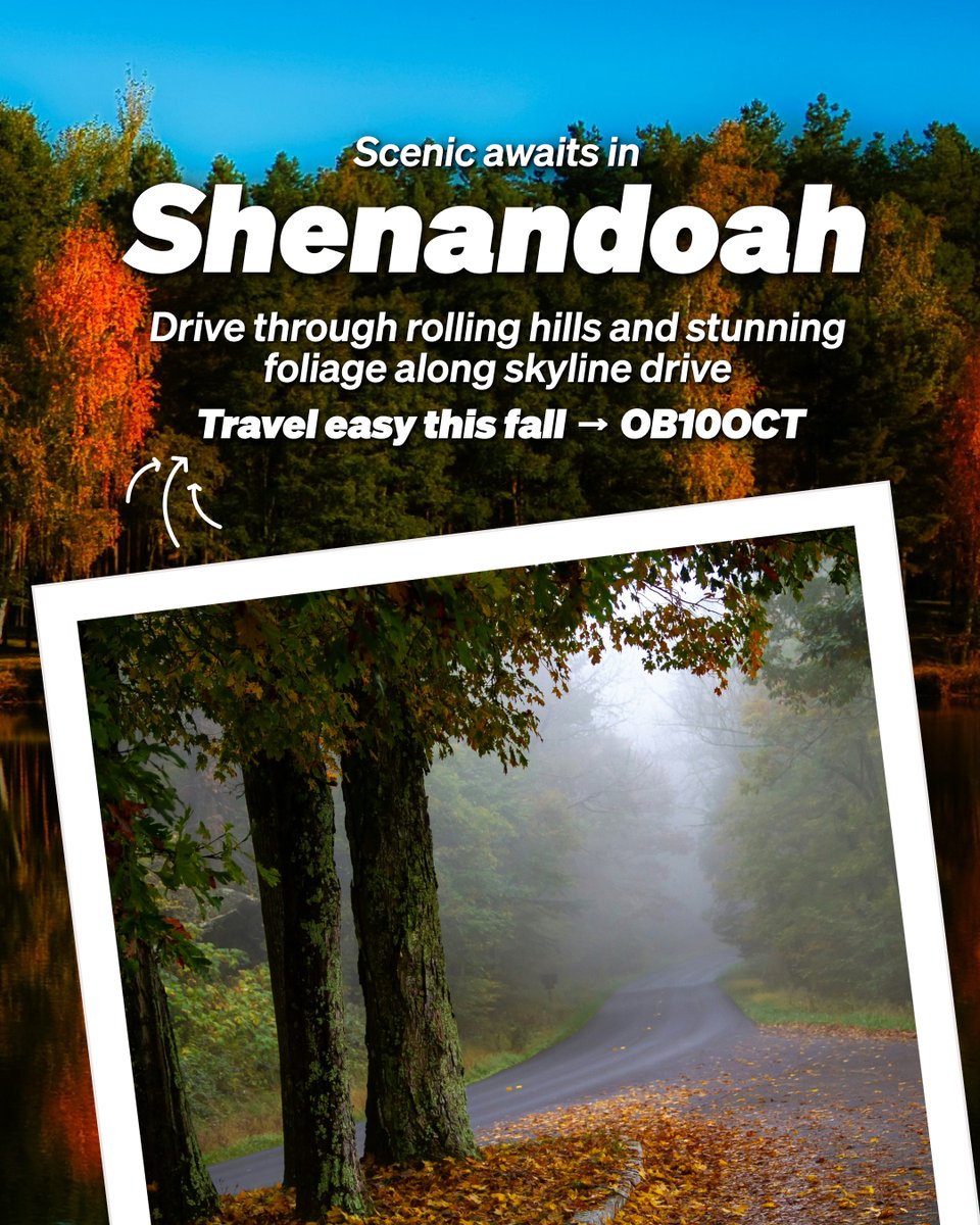 RideOurBus's tweet image. 🍁 Stunning Fall Foliage Awaits! 🍁

Hit the road this autumn with OurBus and explore the season’s most beautiful destinations — from the Poconos to the Finger Lakes to the Shenandoah Valley. 🚍✨

Get 10% off with code OB10OCT!

#FallGetaway #FallFoliage #WeekendEscape #OB10OCT