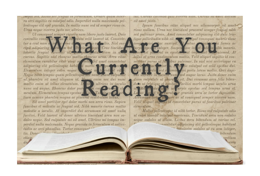 Mike_Tinnion's tweet photo. What book are you currently reading? Let me know in the comments. #readingcommunity https://t.co/goHI5sn20L