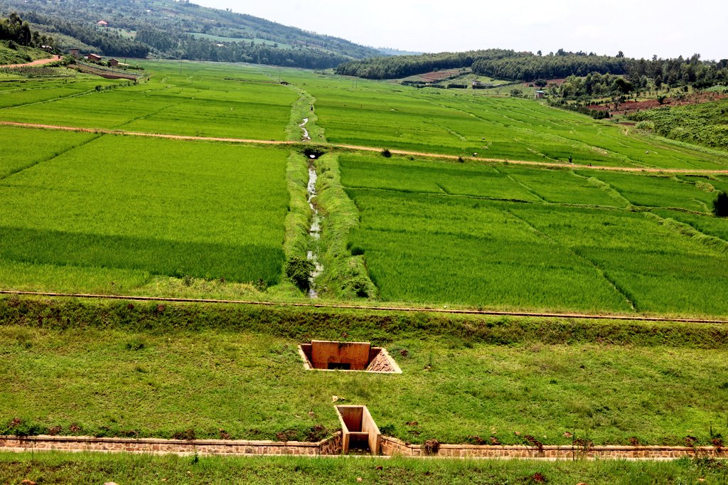 RwamaganaDistr's tweet image. Uyu munsi Ambasaderi wa @japaninrwanda H.E Isao Fukushima yashyikirije Umuyobozi w'Akarere wungirije @rrkagabo ibikorwa byakozwe hatunganywa igishanga cya Cyaruhogo cyuhirwa kuri hegitari  70, ubu  amazi akaba agera ku mirima y'abahinzi 567 n'abagera kuri 2,835 bakibonyemo akazi.