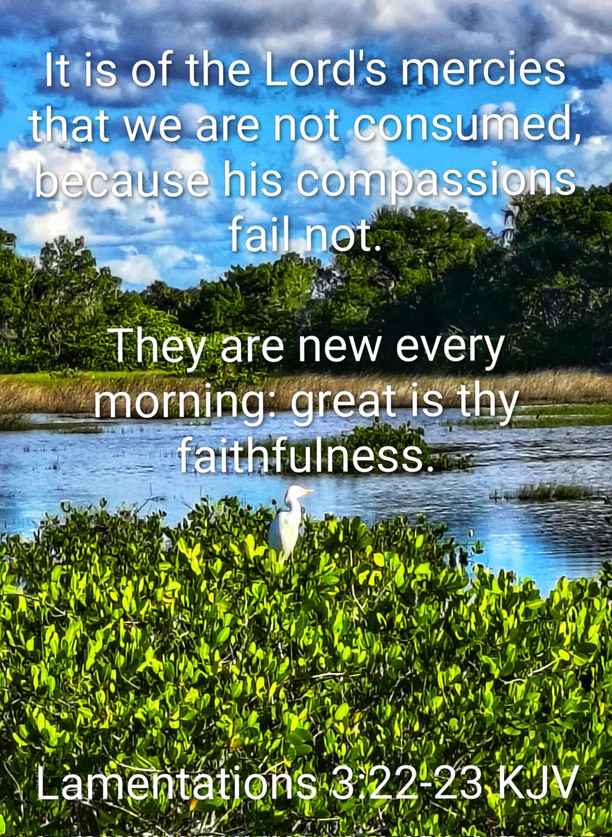 Good morning!
Today, let's stay focused, take joy in what we do, &amp; put our worries to rest. 
Joyful &amp; productive, we are new every morning! 
May we enjoy what we have, count our blessings, &amp; every benefit this day will bring.
Perfect peace &amp; grace be with you.
Have a great day!🕊️