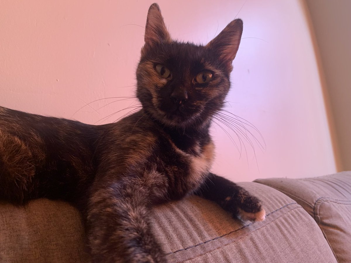 Hep aynı şeyi duyuyorum bi bizimki salak herhalde