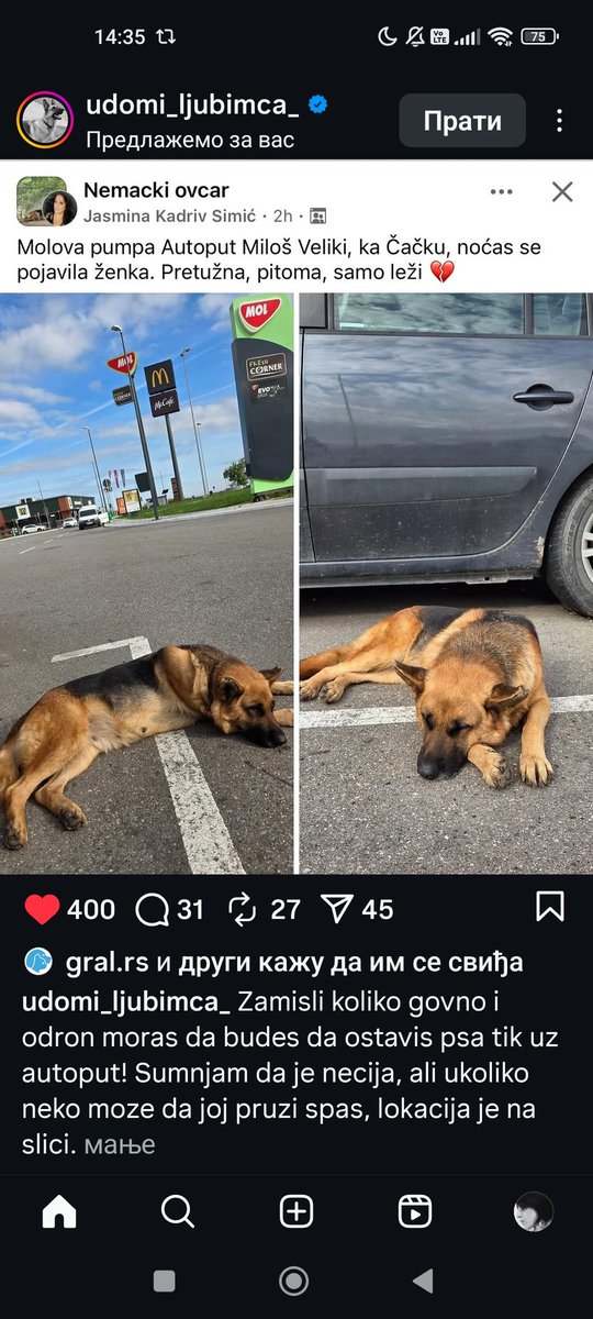 Kristal Met Dejmon (@sanjazivi) on Twitter photo 