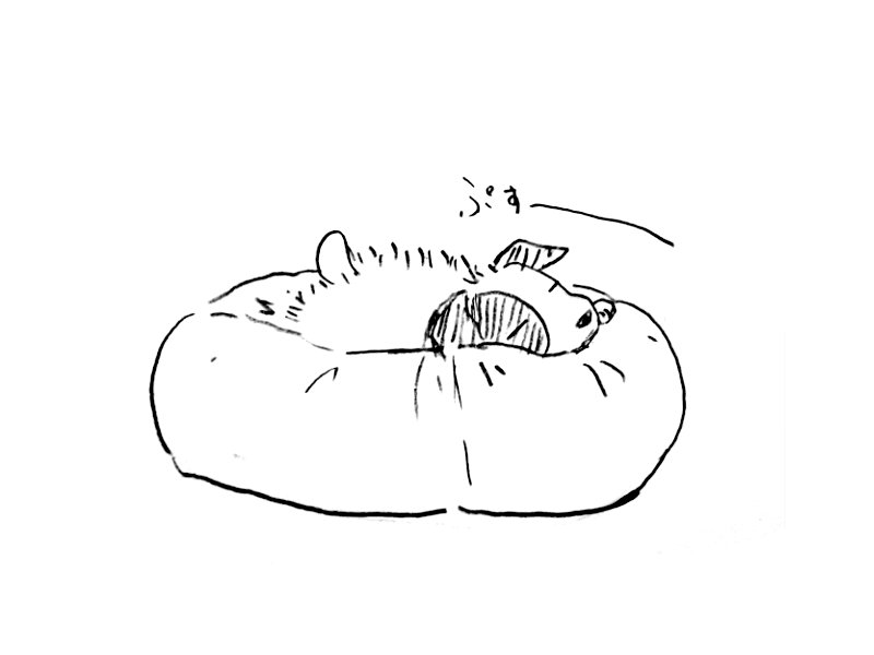 グアバをダメにするソファ