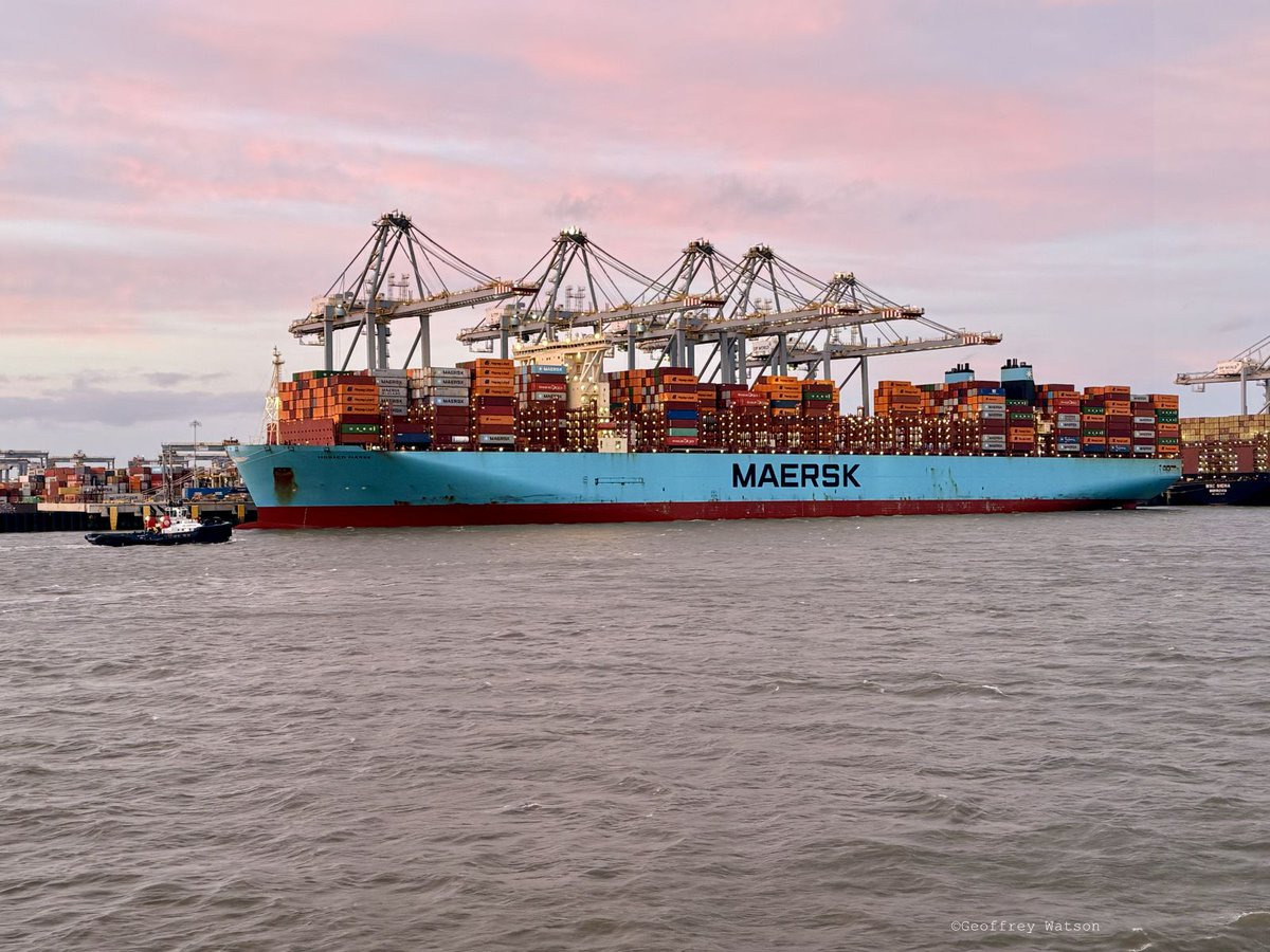 GeoffreyWatson2's tweet image. London Gateway 4th October 2025.

Monaco Maersk, Al Riffa, MSC Denmark VI &amp;amp; MSC Siena.
#dpworld #londongateway #containers #maersk #msc #hapaglloyd #portoflondon #marinephotographer #thames #shipping #maritime #logistics.