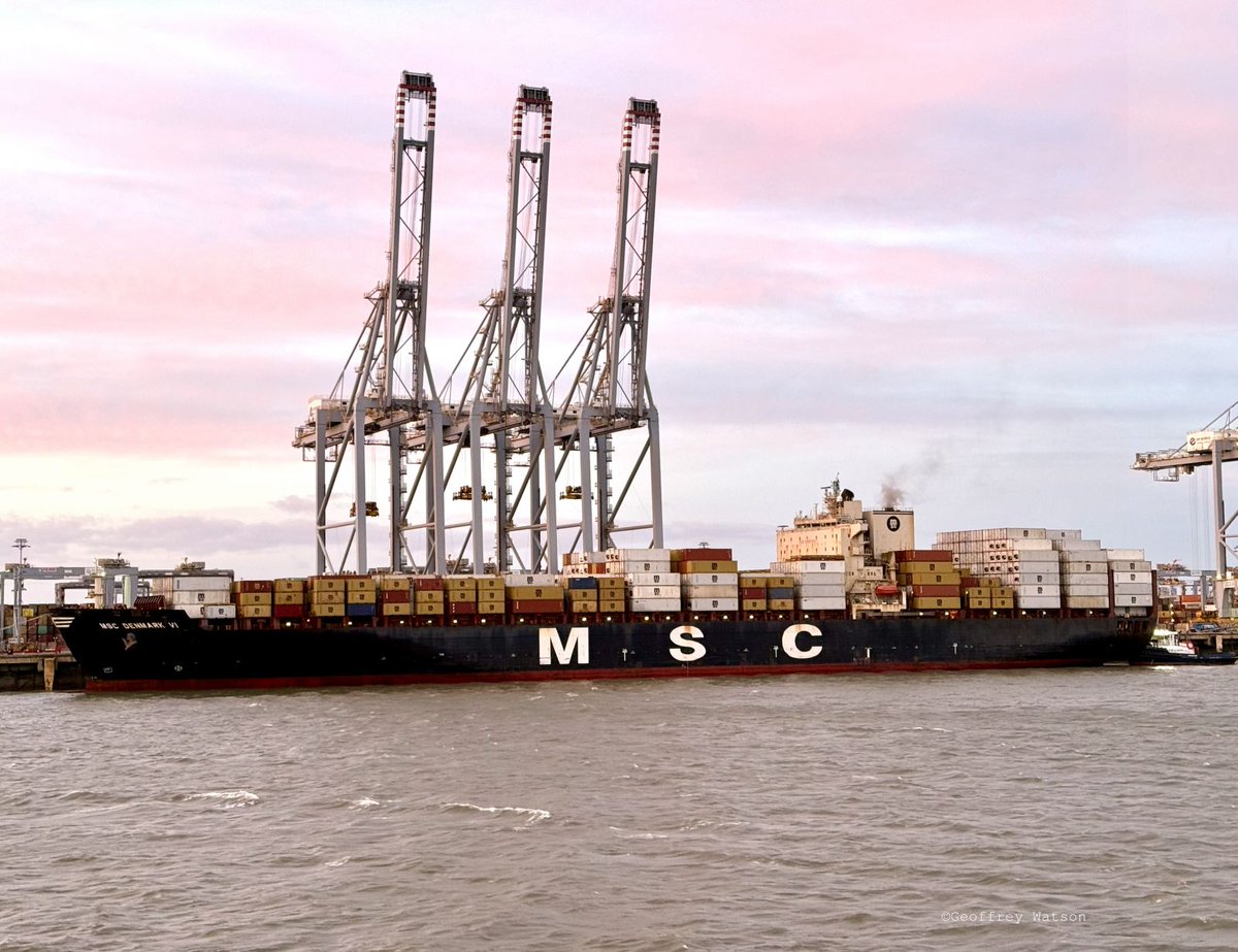GeoffreyWatson2's tweet image. London Gateway 4th October 2025.

Monaco Maersk, Al Riffa, MSC Denmark VI &amp;amp; MSC Siena.
#dpworld #londongateway #containers #maersk #msc #hapaglloyd #portoflondon #marinephotographer #thames #shipping #maritime #logistics.