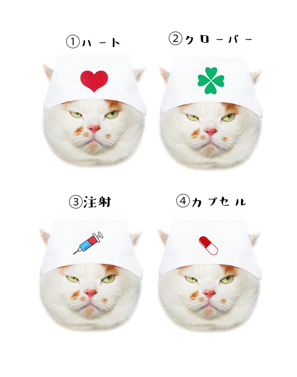 めい様 MARCO 🟡写真集「メイ先輩」🟡 on X