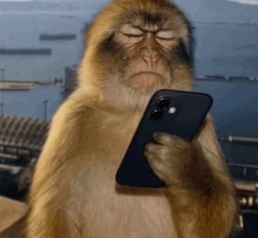 1989TWIGS's tweet image. no album just ramblings and rants. #irritated