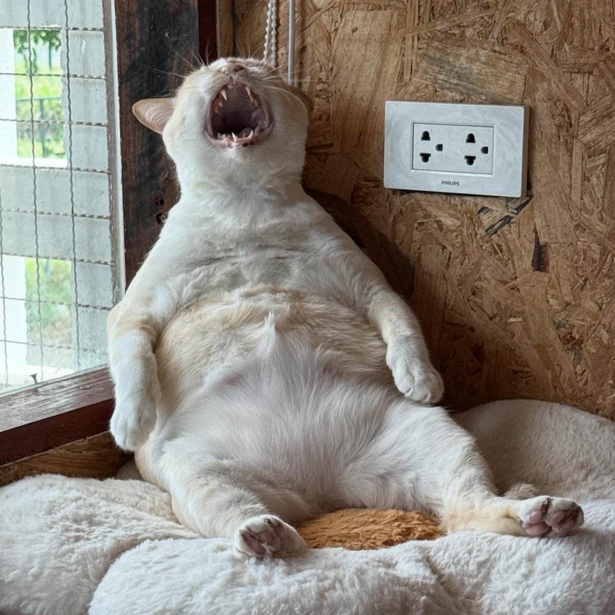 Realizing it’s only Wednesday!!!