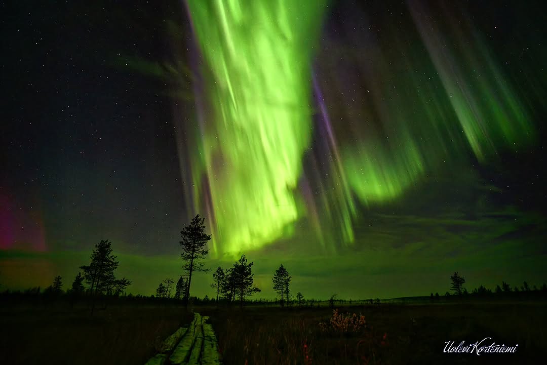 A small set of aurora borealis shots shared on IG by valotomi, lu_schaffner, artooksanen, and von.fou:
facebook.com/DiscoveringFin…

Learn more about seeing the Northern Lights in Finland:
discoveringfinland.com/blog/the-north…