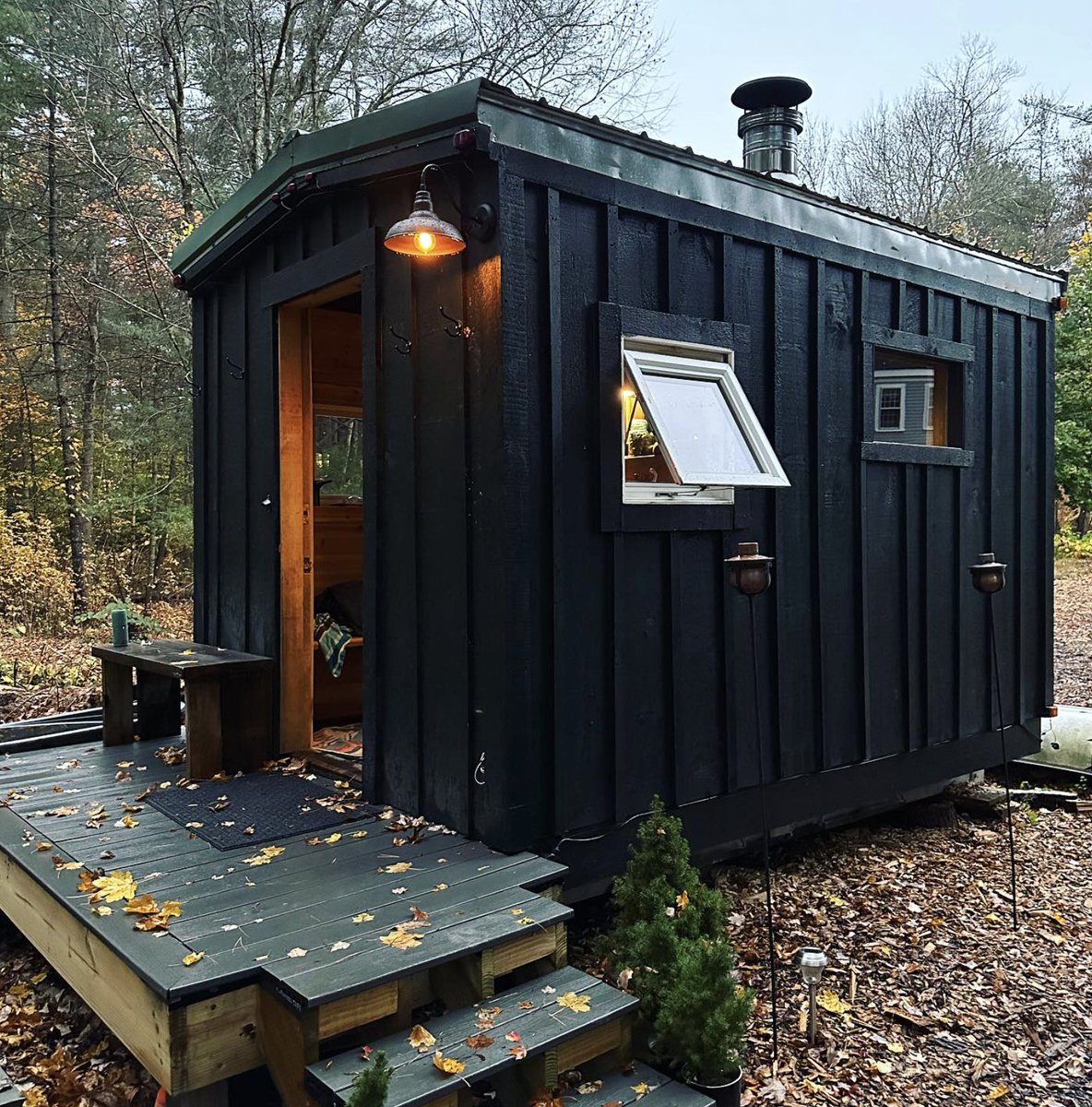 Alex Cook tweet media