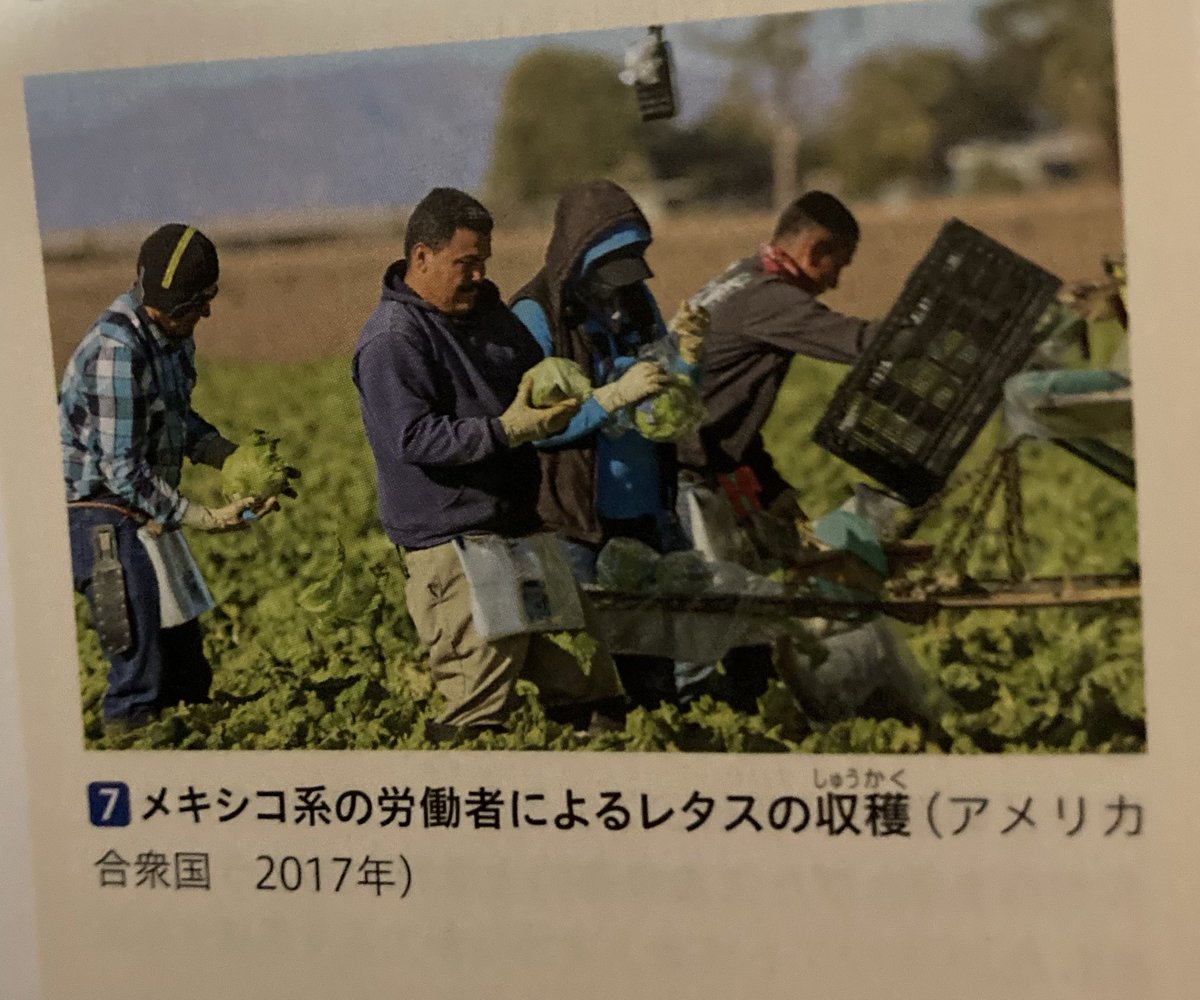 hanko (@hanko_na) on Twitter photo 社会の教科書にドクターいた 社会の教科書にドクターいた