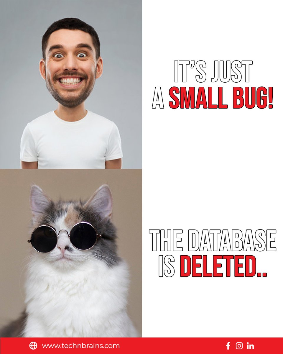 technbrains's tweet image. Nothing major… just deleted the database.

#technology #innovation #USA