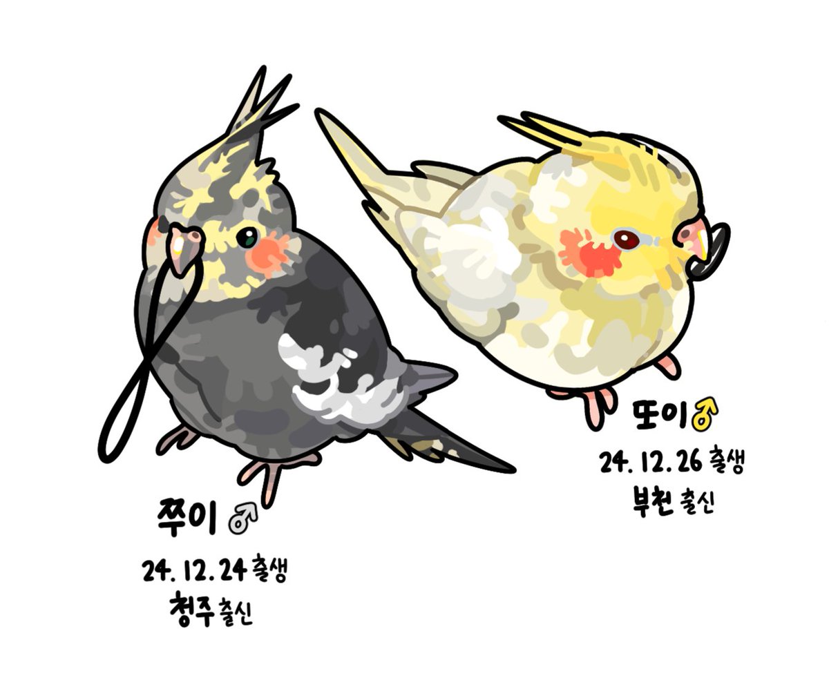 새이름쭈이 tweet media