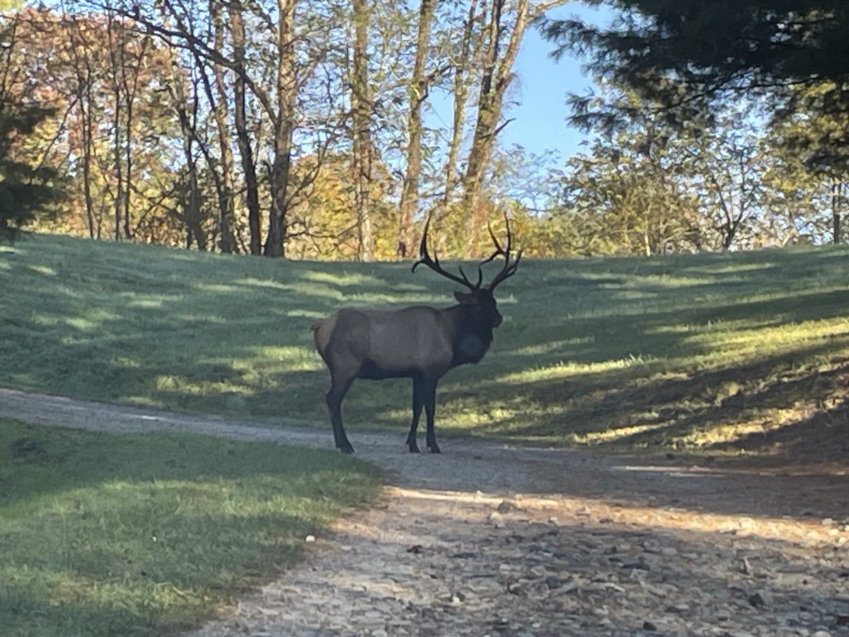 ChefBoyLD's tweet image. 