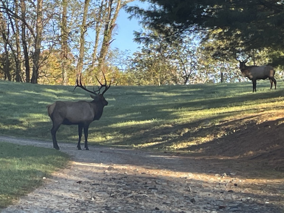 ChefBoyLD's tweet image. 