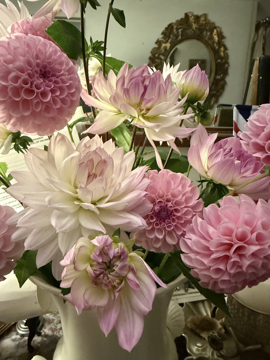 Dahlias. I’ve never known a year like it. They’ve gone on and on. I can cut them to use in the house and in church, without making a dent in the joyous bushes of them in our flower beds. I must plant more in 2026.