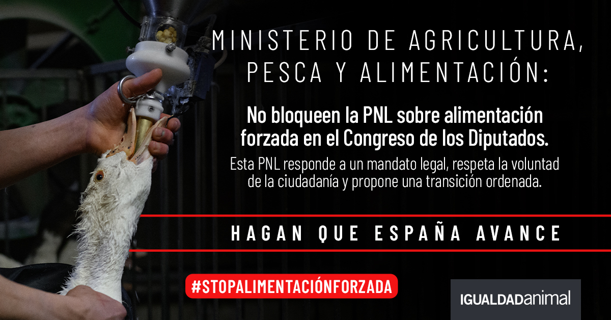 El país necesita coherencia: si el futuro del campo es sostenible, no puede basarse en sufrimiento animal. 
Sr. <a href="/LuisPlanas/">Luis Planas Puchades</a>, apoye la PNL. 

#StopAlimentaciónForzada

ia.onl/stop_alimentac…