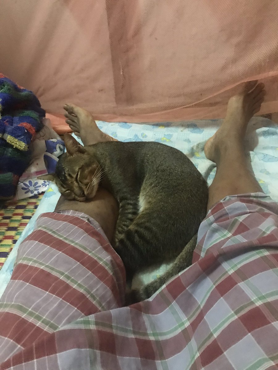 น่าสงสารจัง