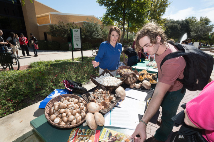 North Texan tweet media
