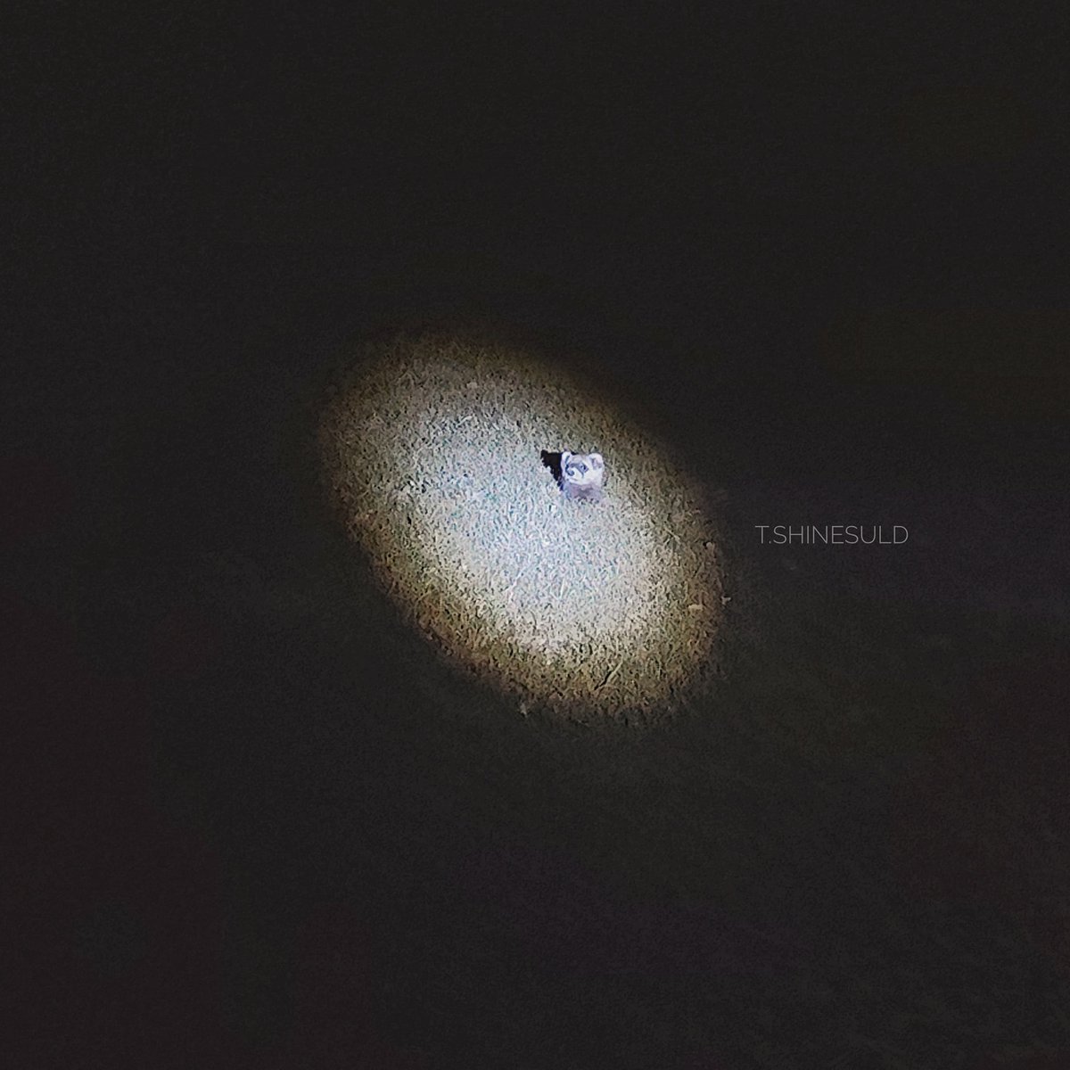 shinesuld's tweet photo. Who is this? https://t.co/rTimnZUmLy