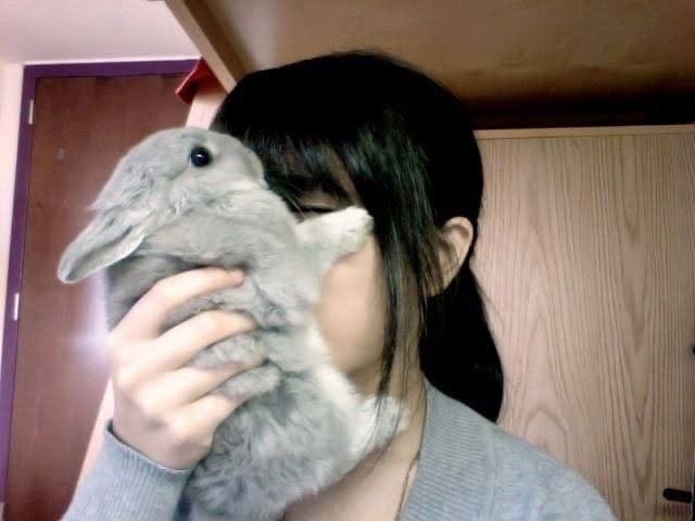 Why you should have a rabbit (@shouldhaverabit) on Twitter photo 