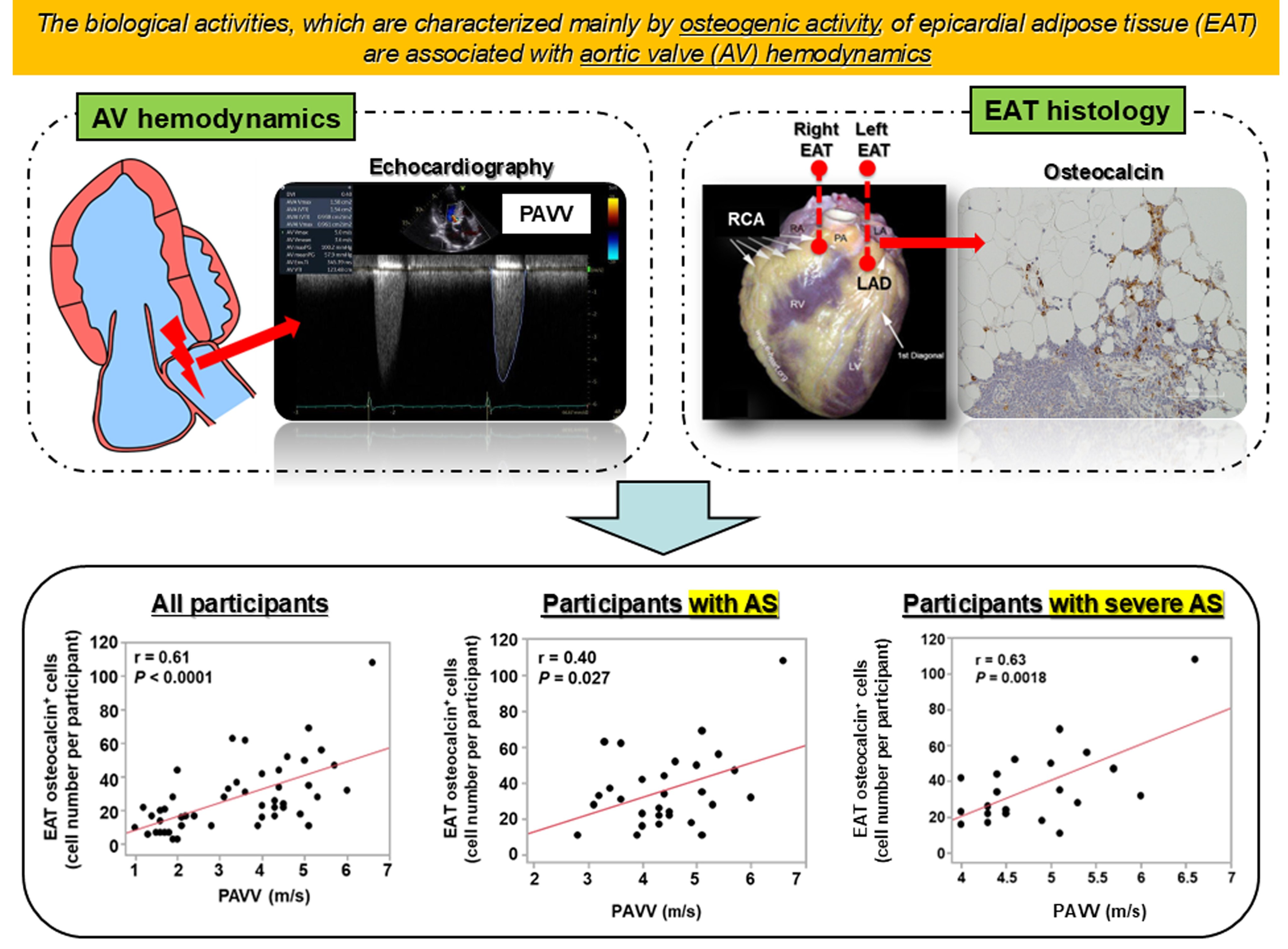 会報誌 運命 合本 第 201～250 号 日本運命学会 中村文聡 /悠久書閣 会報誌 運命 合本 第 201～250 号 日本運命学会 中村文聡 /悠久