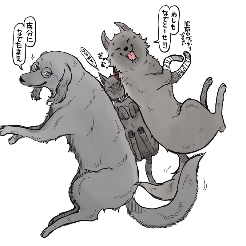 おまけ。
撫でで欲しくて寄ってきたけも土佐🐕🐕。 