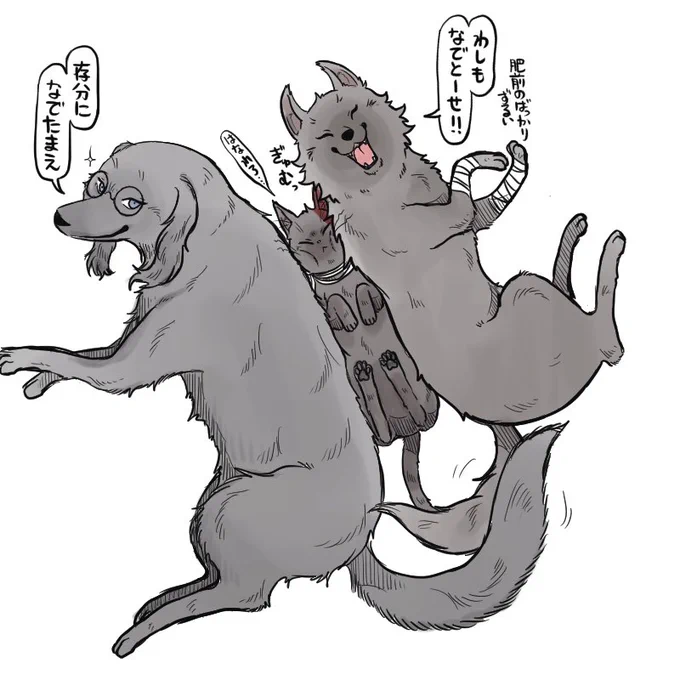 おまけ。
撫でで欲しくて寄ってきたけも土佐🐕🐕。 