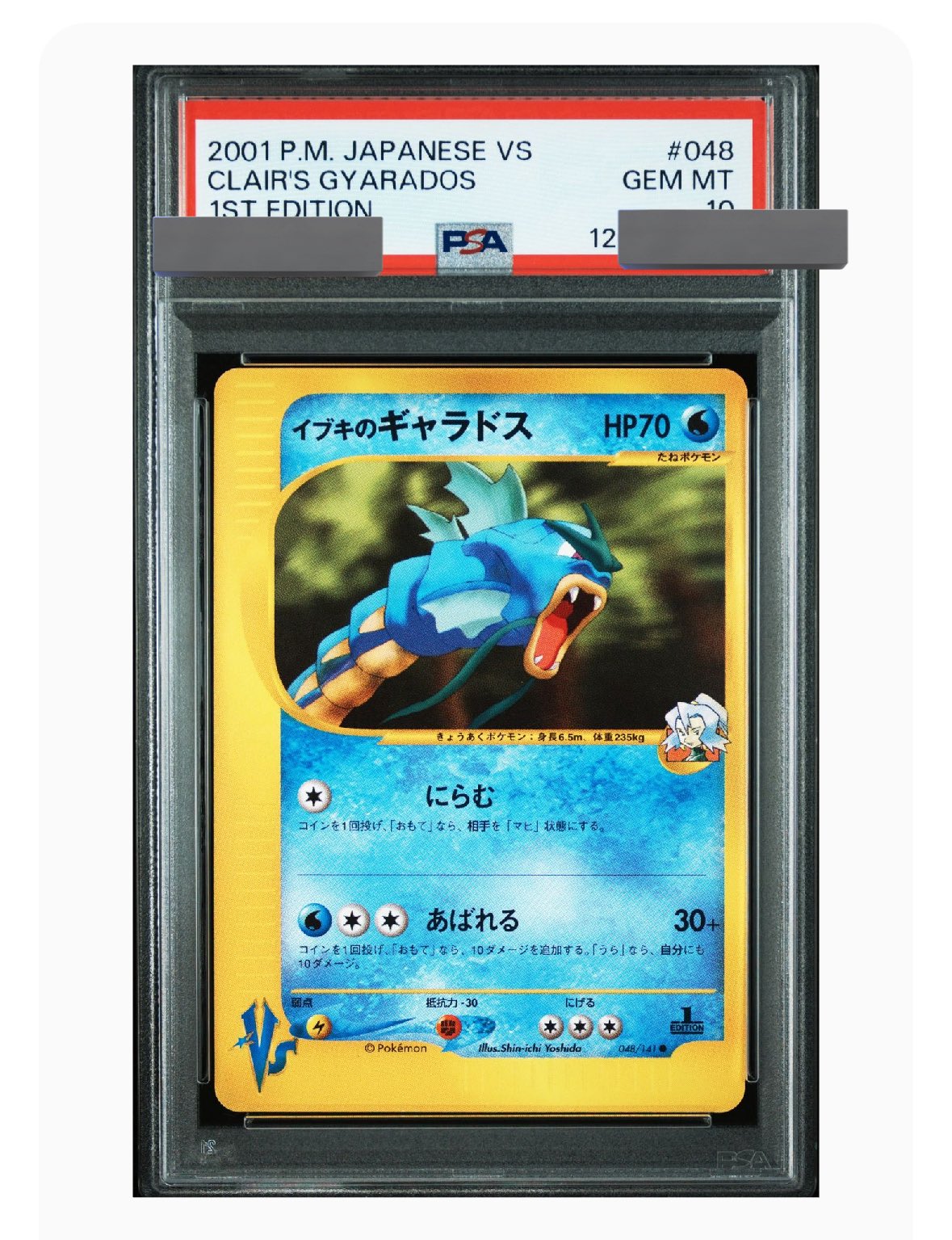【psa10】ツクシのヤンヤンマ ● ポケモンカード★VS 012/141 ツクシのヤンヤンマ【ポケモンカードトレカお買得価格通販