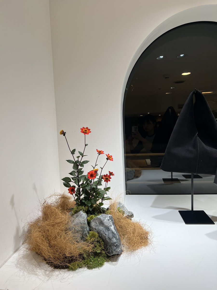 caco_florist's tweet photo. 夢は叶い続ける。だからやめられない！
最高に楽しい装飾💐💐💐 https://t.co/cYkXoJVoVA