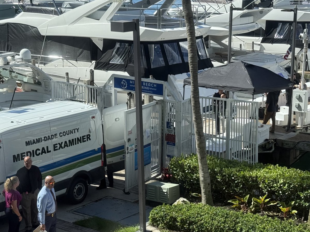 Michelle Kosinski tweet media