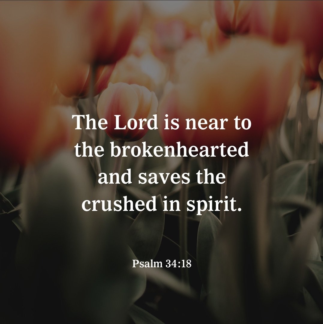 SpringSteps's tweet image. Our Lord can bear our burdens when we are brokenhearted... 💗🙏🏼