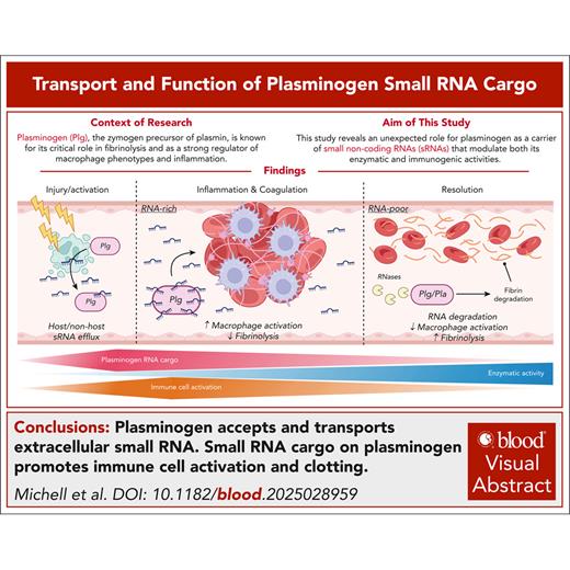 Blood Journal (@bloodjournal) on Twitter photo This study reveals an unexpected role for plasminogen as a carrier of small non-coding RNAs (SNRAs) that modulate both its enzymatic and immunogenic activities. Read the full article in Blood: ow.ly/ZbCk50X9rIA This study reveals an unexpected role for plasminogen as a carrier of small non-coding RNAs (SNRAs) that modulate both its enzymatic and immunogenic activities. Read the full article in Blood: ow.ly/ZbCk50X9rIA